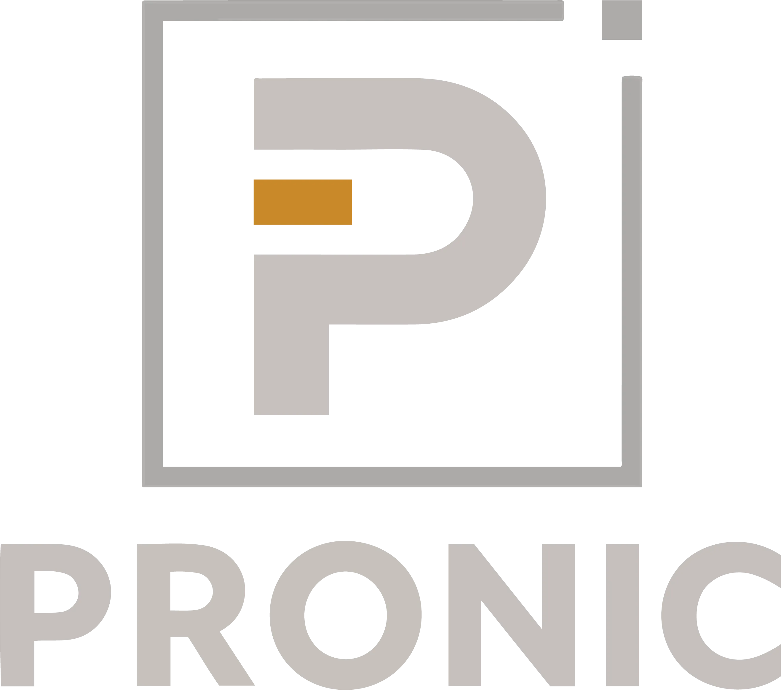 Pronic logo